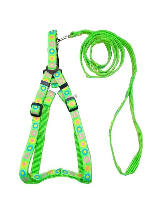 Pet Believe Adjustable Soft Nylon Dog Printed Harness & Leash Set for Puppies, Cats & Kitten - 15mm (Green) - Image 3